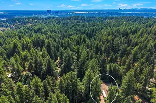 3825 132nd Ave NE, Bellevue, WA 98005 - Photo 34