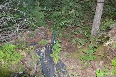 16100 40th Place, Bellingham, WA 98229 - Photo 18