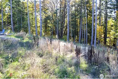 16100 40th Place, Bellingham, WA 98229 - Photo 8