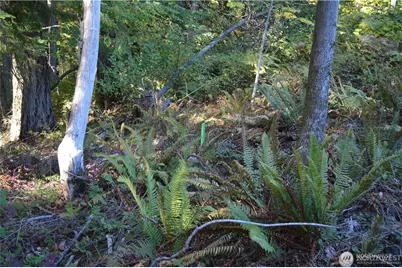 16100 40th Place, Bellingham, WA 98229 - Photo 14