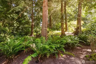7215 NE Dolphin Dr, Bainbridge Island, WA 98110 - Photo 26