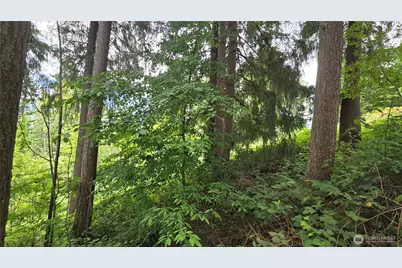 27339 SE 403rd (Lots 39,47,48,49) Street, Enumclaw, WA 98022 - Photo 8
