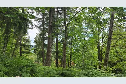 27339 SE 403rd (Lots 39,47,48,49) Street, Enumclaw, WA 98022 - Photo 14