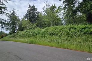 27339 SE 403rd (Lots 39 47 48 49) St, Enumclaw, WA 98022 - Photo 1