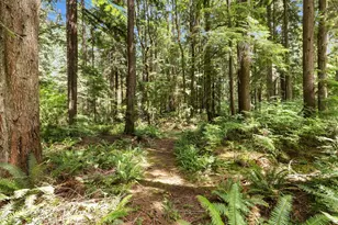 22288 NE Woodinville Duval Rd, Woodinville, WA 98077 - Photo 2