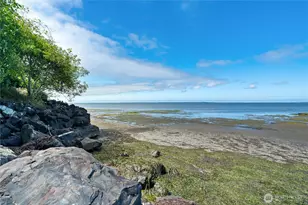 16 Harrison St, Bay Center, WA 98527 - Photo 38
