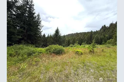 0 Pontiac Ridge Road, Oroville, WA 98844 - Photo 2