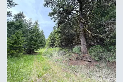0 Pontiac Ridge Road, Oroville, WA 98844 - Photo 6
