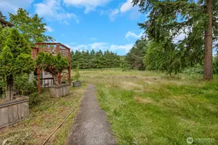 41019 Dean Kreger Rd E, Eatonville, WA 98328 - Photo 34