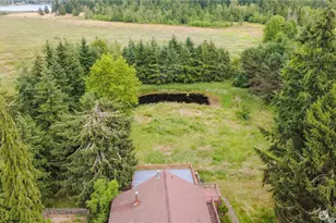 41019 Dean Kreger Rd E, Eatonville, WA 98328 - Photo 36