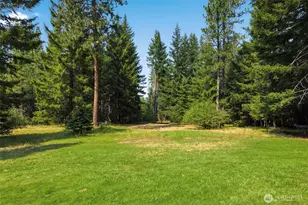 19 Lois Ln, Trout Lake, WA 98650 - Photo 34