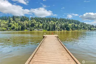 38819 Orville Rd E, Eatonville, WA 98328 - Photo 16