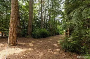 1173 SW Lake St, Port Orchard, WA 98367 - Photo 40
