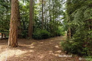 1173 SW Lake St, Port Orchard, WA 98367 - Photo 20