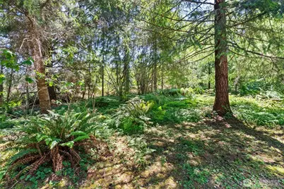 1788 Nelson Road, Raymond, WA 98577 - Photo 28
