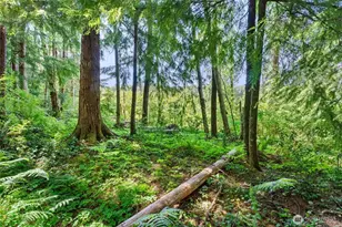 1788 Nelson Rd, Raymond, WA 98577 - Photo 26