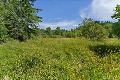 12305 523rd Street E, Eatonville, WA 98328 - Photo 28