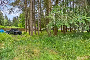5815 7th Ave SE, Lacey, WA 98503 - Photo 36