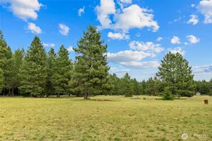 6151 Nelson Siding Rd, Cle Elum, WA 98922 - Photo 4