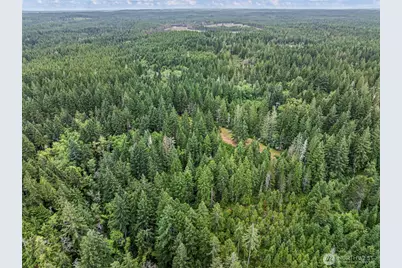 80 NE Smithy Forge Lane, Belfair, WA 98528 - Photo 1