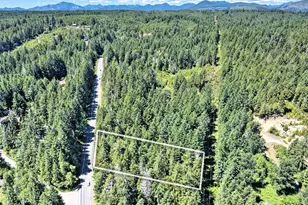 830 N Lake Cushman Rd, Hoodsport, WA 98548 - Photo 24