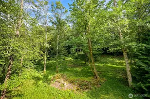 6241 Olson Rd, Ferndale, WA 98248 - Photo 40