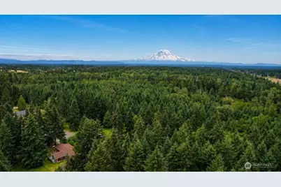 32906 54th Avenue S, Roy, WA 98580 - Photo 28