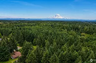 32906 54th Ave S, Roy, WA 98580 - Photo 28
