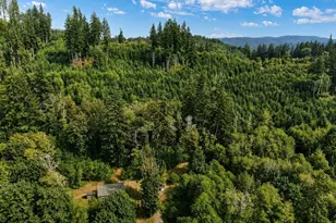 380 Williams Creek Rd, Oakville, WA 98568 - Photo 2