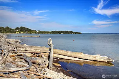 846 Livingston Bay Shore Drive, Camano Island, WA 98282 - Photo 14
