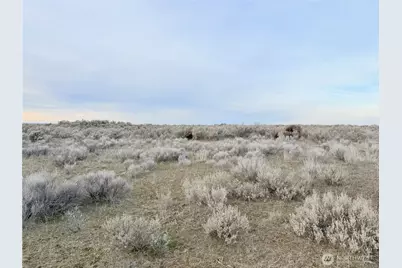 0 15.6 Road NE #98860, Wilson Creek, WA 98860 - Photo 34