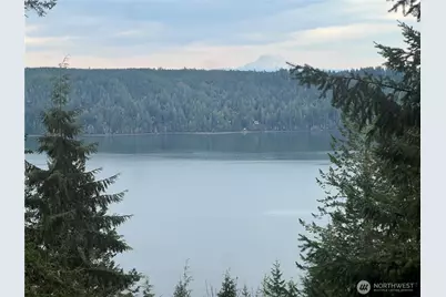 41 N Diamondhead Drive, Lilliwaup, WA 98555 - Photo 8
