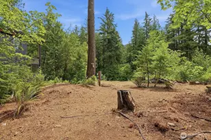 47337 SE 160th St, North Bend, WA 98045 - Photo 34