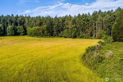 0 Turn Point Road, Friday Harbor, WA 98250 - Photo 4