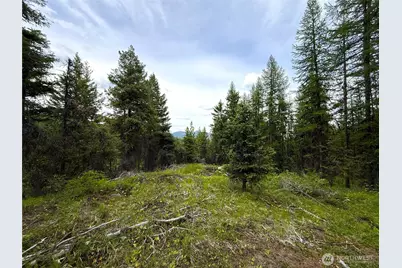 0 Tbd Mule Deer Road, Republic, WA 99166 - Photo 1