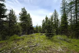 0 Tbd Mule Deer Rd, Republic, WA 99166 - Photo 1