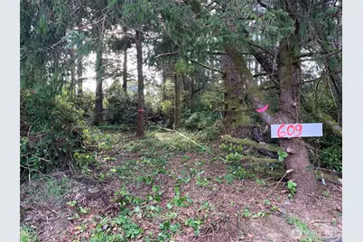 609 Weatherwax, Ocean Shores, WA 98569 - Photo 1