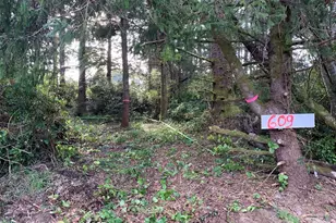 609 Weatherwax, Ocean Shores, WA 98569 - Photo 1