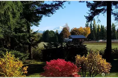 6650 Kings Lane, Bellingham, WA 98226 - Photo 38