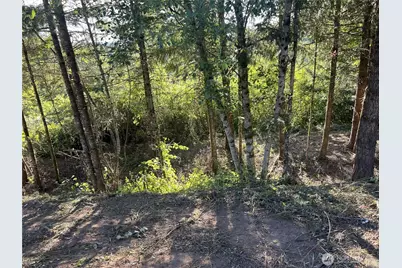 0 NE Jabez Street, Winlock, WA 98596 - Photo 4