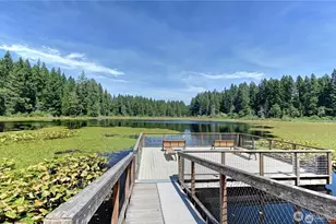 24311 SE 41st Pl, Sammamish, WA 98029 - Photo 36