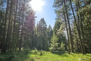 432 Hub Ln, Cle Elum, WA 98922 - Photo 32