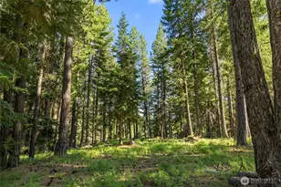 432 Hub Ln, Cle Elum, WA 98922 - Photo 34