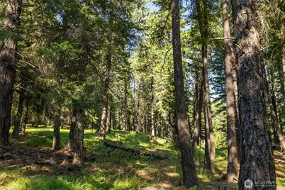 432 Hub Lane, Cle Elum, WA 98922 - Photo 30