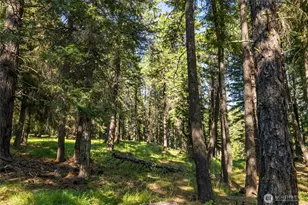 432 Hub Ln, Cle Elum, WA 98922 - Photo 30