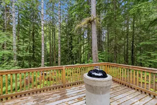 191 Northwoods Cabin, Cougar, WA 98616 - Photo 30