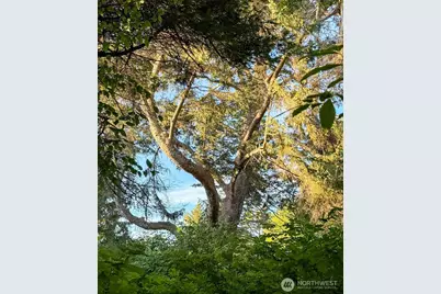 0 West Beach Road, Oak Harbor, WA 98277 - Photo 8