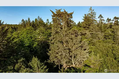 0 West Beach Road, Oak Harbor, WA 98277 - Photo 22