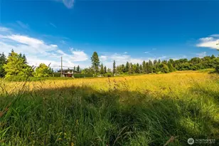 16 Harvey Rd, Blaine, WA 98230 - Photo 4