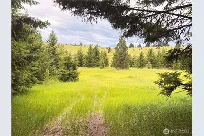12 S Teal Lake Road, Oroville, WA 98844 - Photo 2